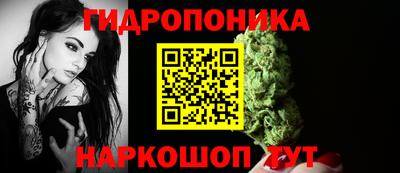 соль ск Лесосибирск